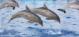 В Україні заборонили виловлювати дельфінів